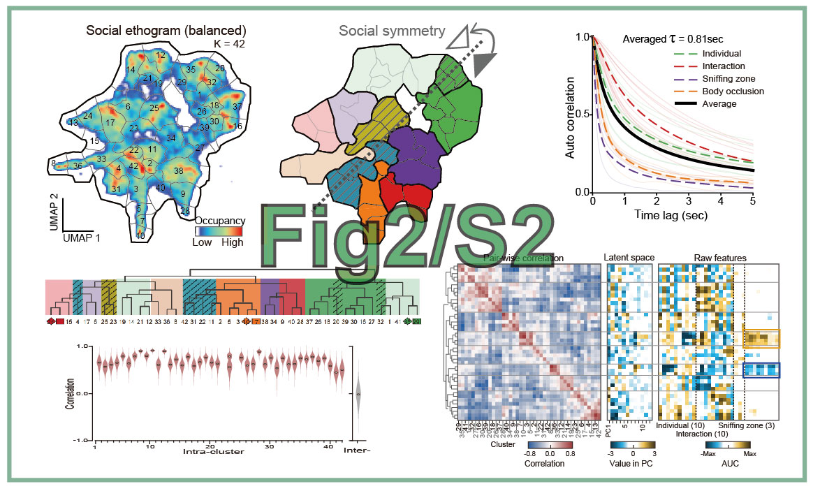 Fig2_S2